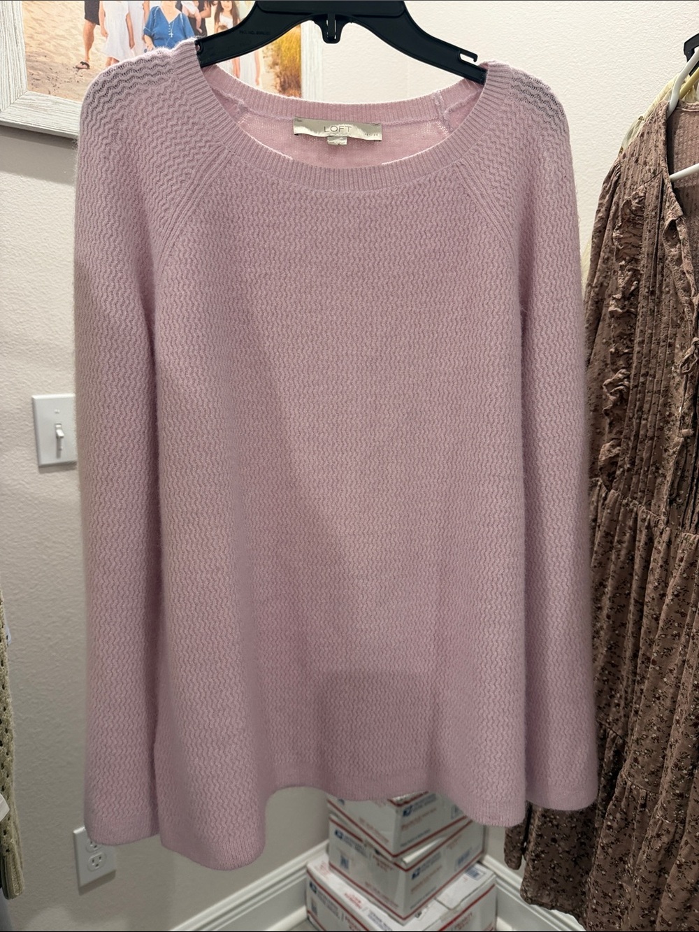 LOFT Blush Scoop Neck Knit Sweater